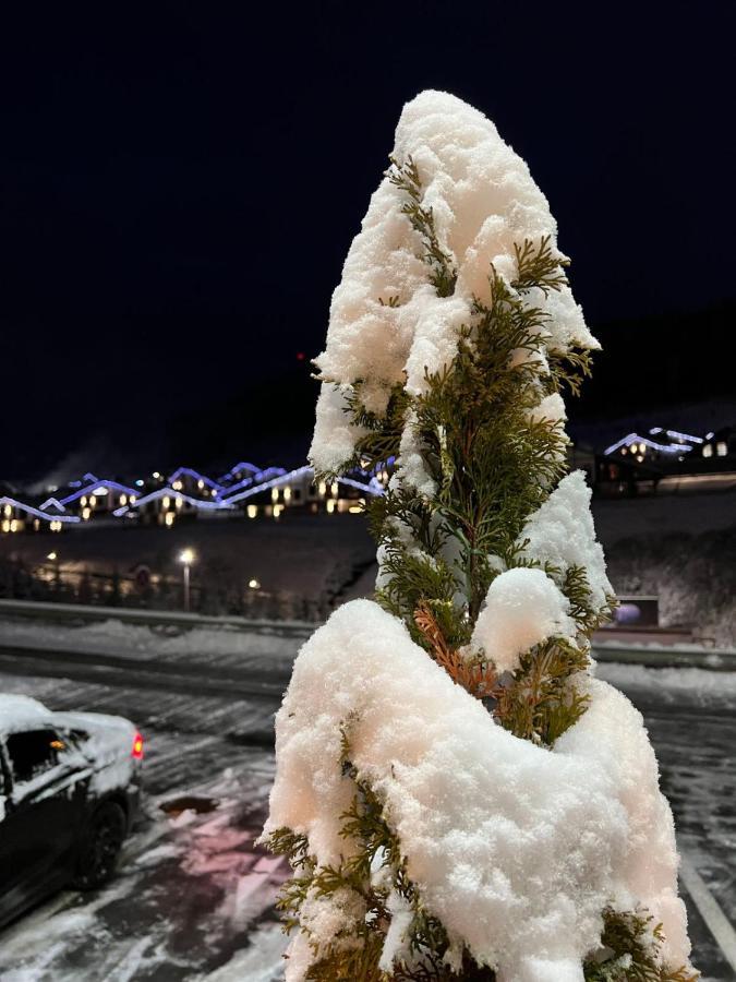 Chalet Blanc 布克维 外观 照片